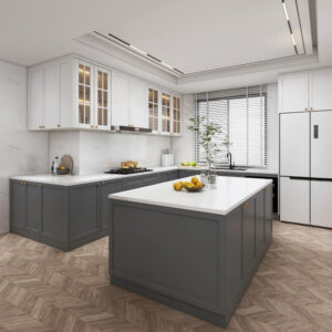 Cabinet Model Setting with Island Shaker Panel Gray